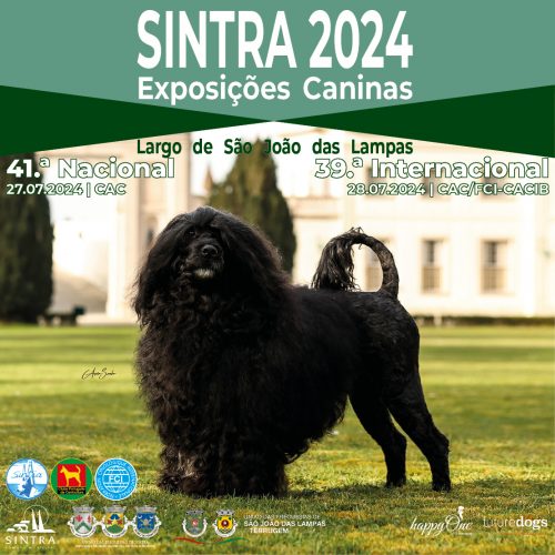 Exposições Caninas de Sintra 2024