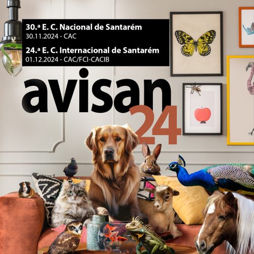 Exposições Caninas de Santarém - AVISAN 2024