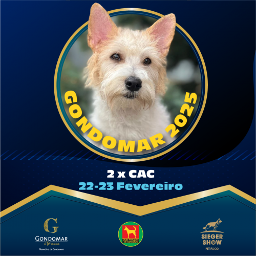 Exposições Caninas de Gondomar 2025