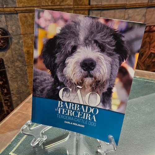 Apresentação do livro “O Cão Barbado da Terceira”